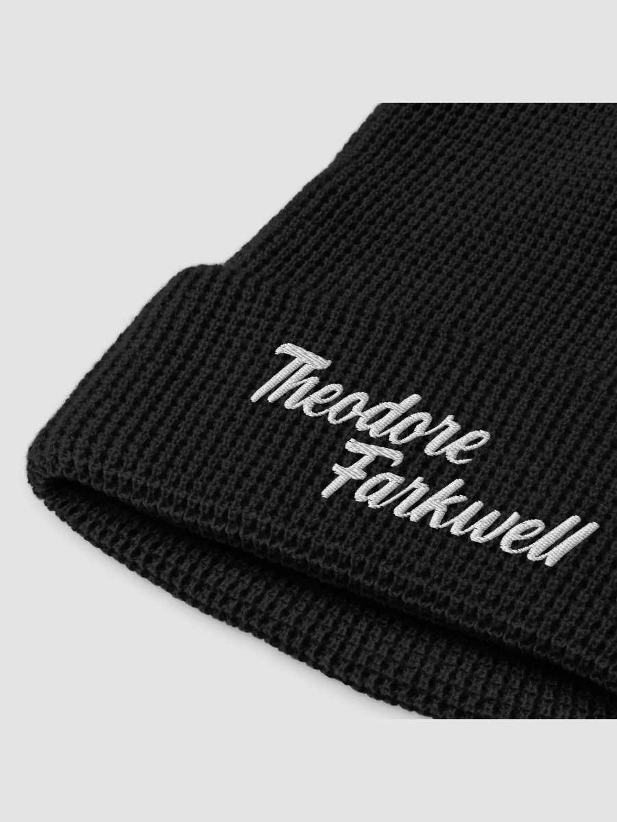 THEODORE FARKWELL BEANIE product image (1)