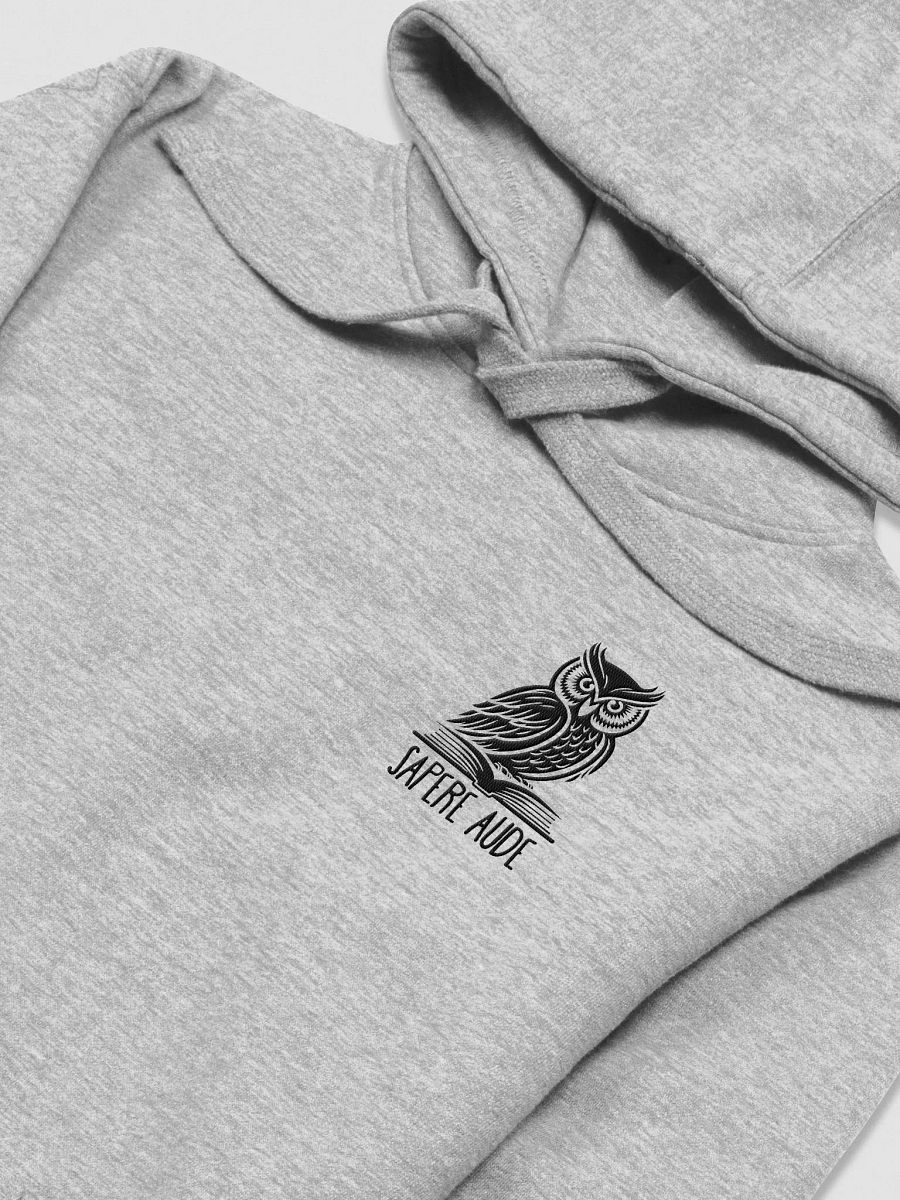 Sapere Aude Hoodie product image (3)