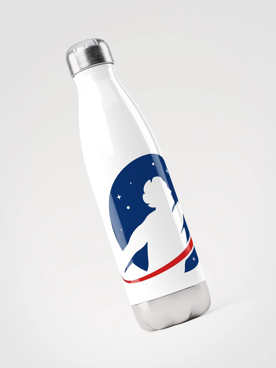 Stainless Steel Water Bottle 17oz (500ml) product image (6)