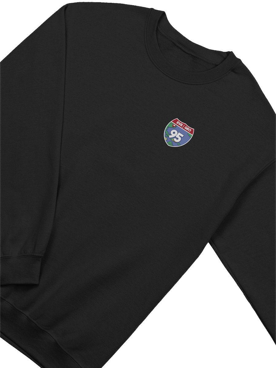 BVR | GEO "The System" 95 Sweatshirt product image (11)