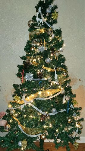 December = $20 Tree from CHINA!
