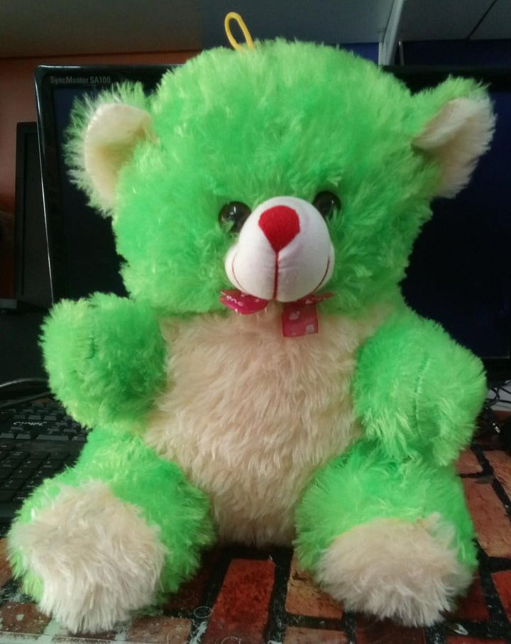 TEDDY BEAR product image (1)