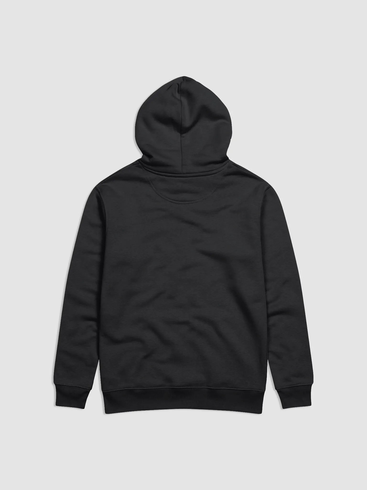 Raw Intuition Watermelon Logo Eco Hoodie product image (2)