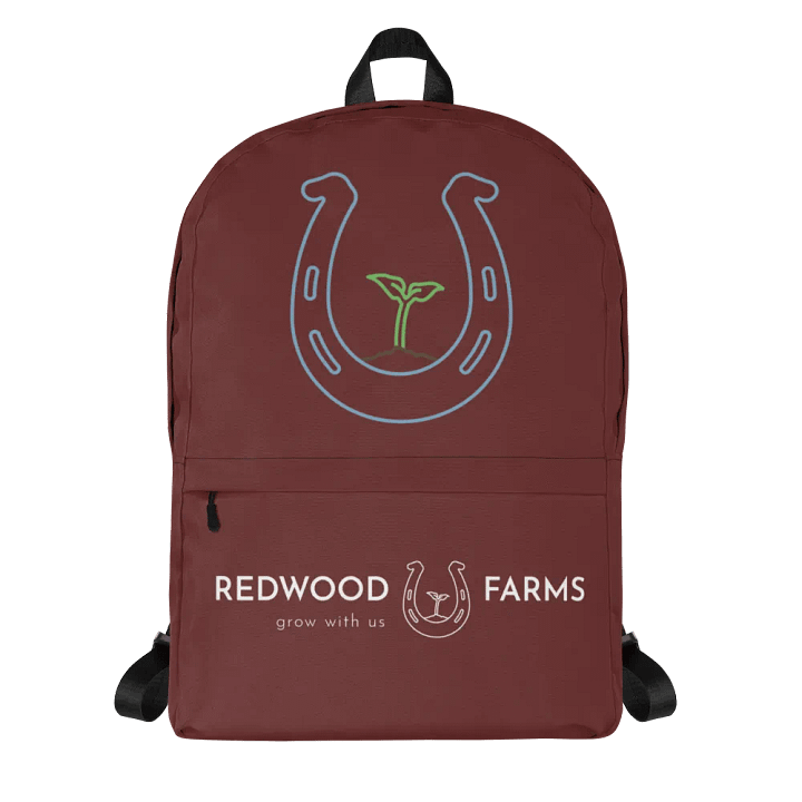 Back packs product image (1)
