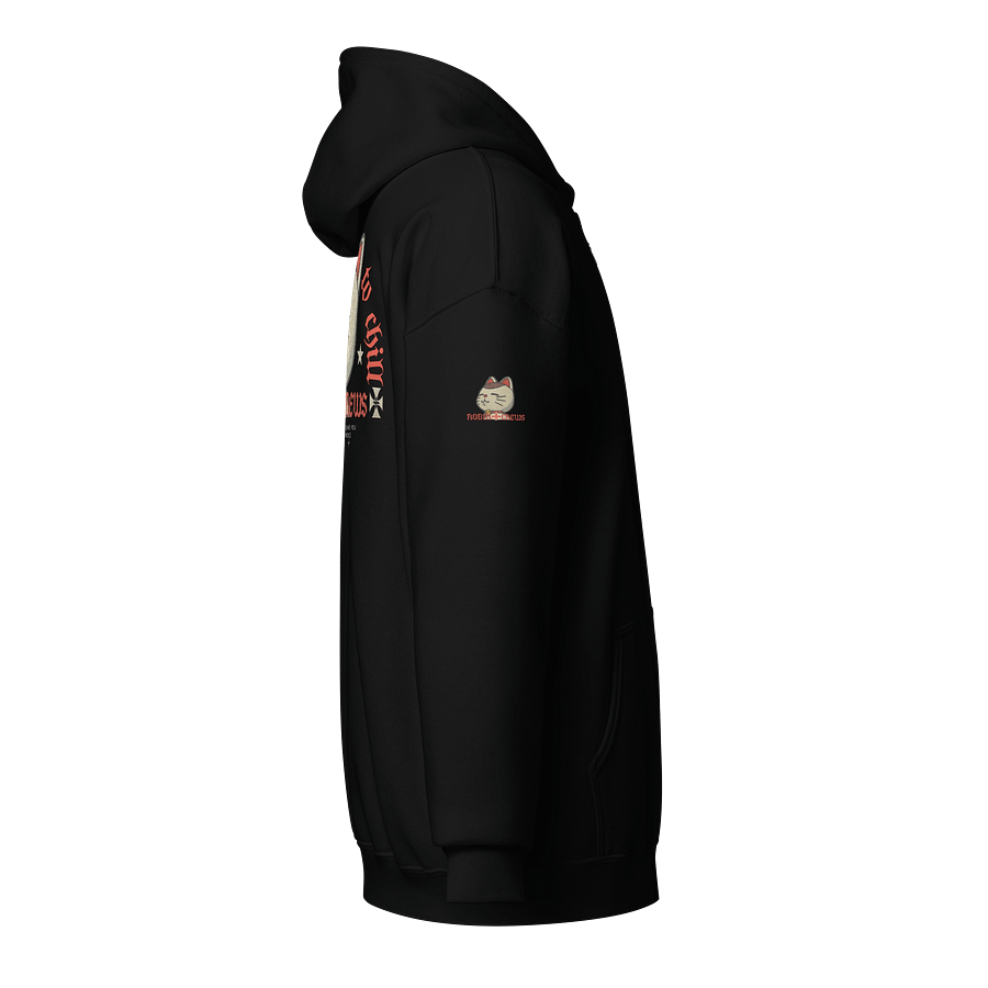 Cat Zip Hoodie with Chill Vibes product image (4)