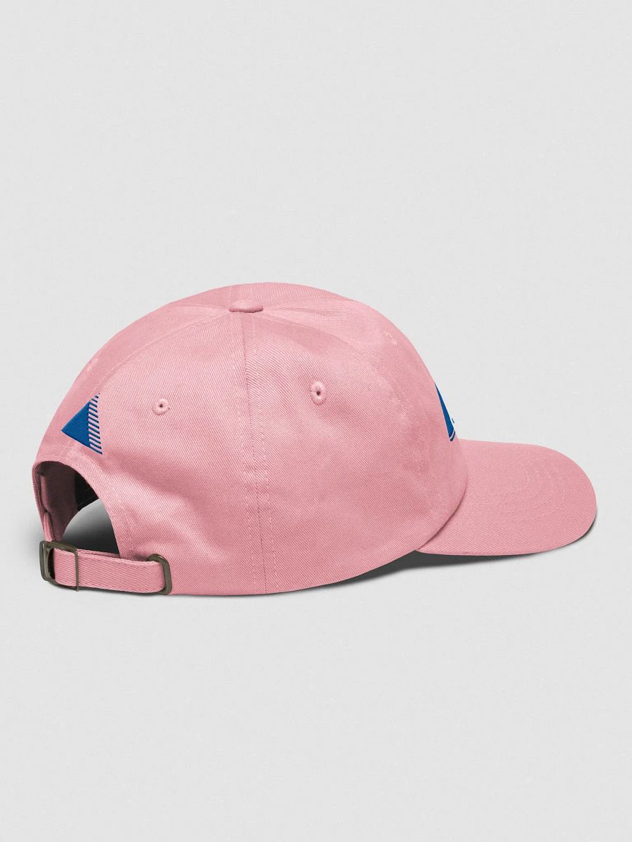 computer corporation of europe hats (100% cotton) product image (4)