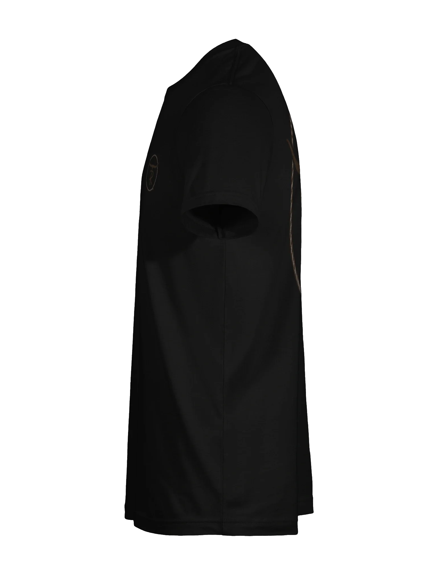 Texas Rage Iron Brand Style Logo Bella+Canvas T-Shirt product image (55)