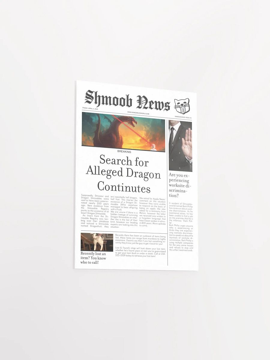 Shmoob News Issue #3 product image (3)