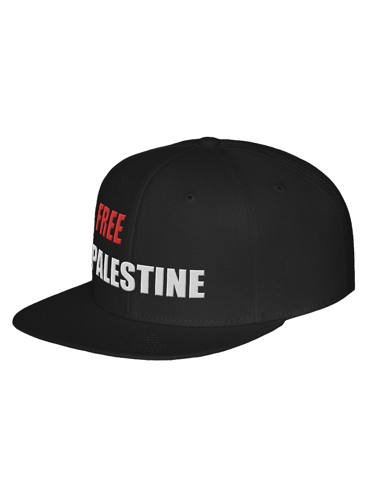Free Palestine Cap - Snapback product image (2)