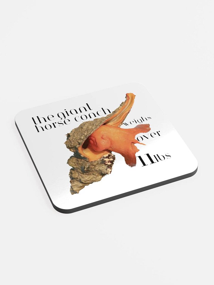 Conch Coaster product image (2)
