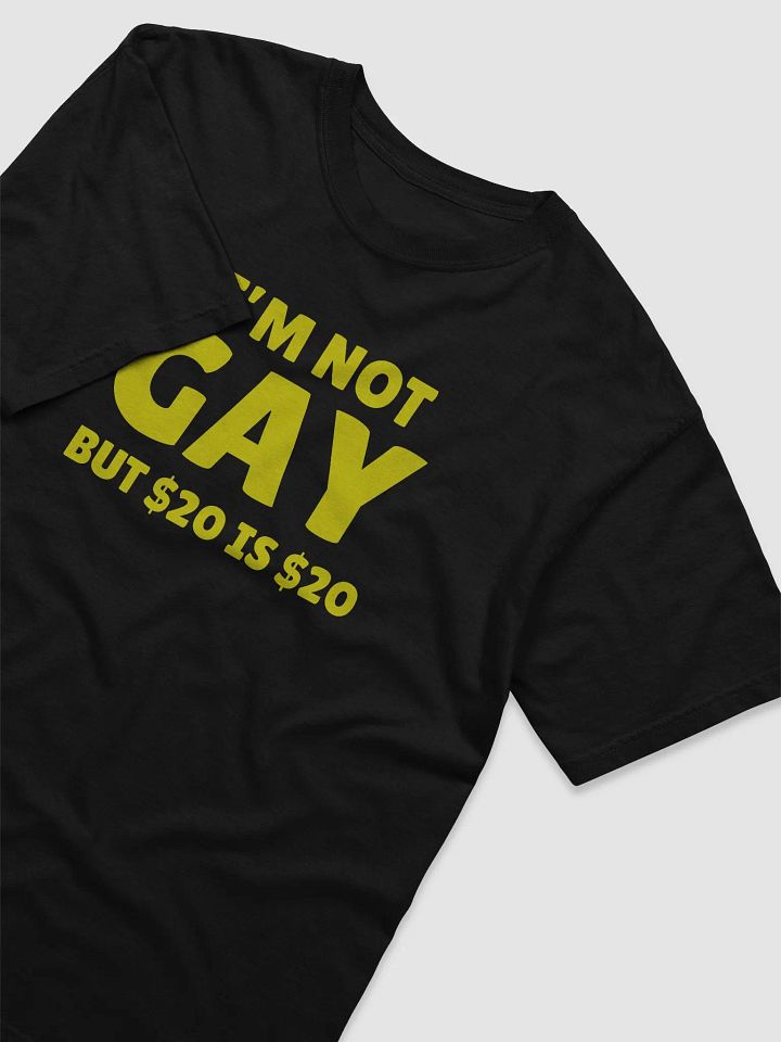 Not Gay But $20 is $20 Front Print Unisex Tee product image (2)