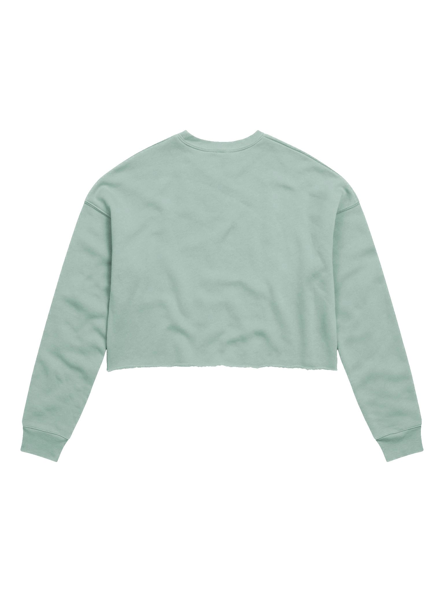 Variety is the Spice of Life - Bella+Canvas Women's Fleece Crop Sweatshirt product image (27)