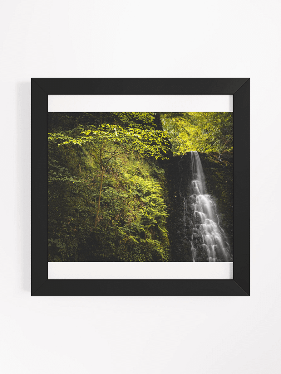 Falling Foss Sapling product image (3)