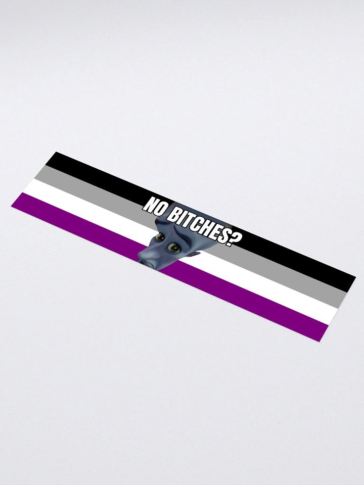 No Bitches? Funny Ace Sticker product image (1)