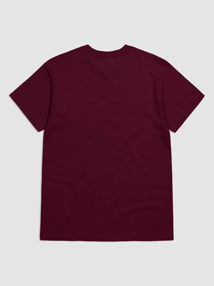 Women's Whisky & Wisdom Tee product image (16)