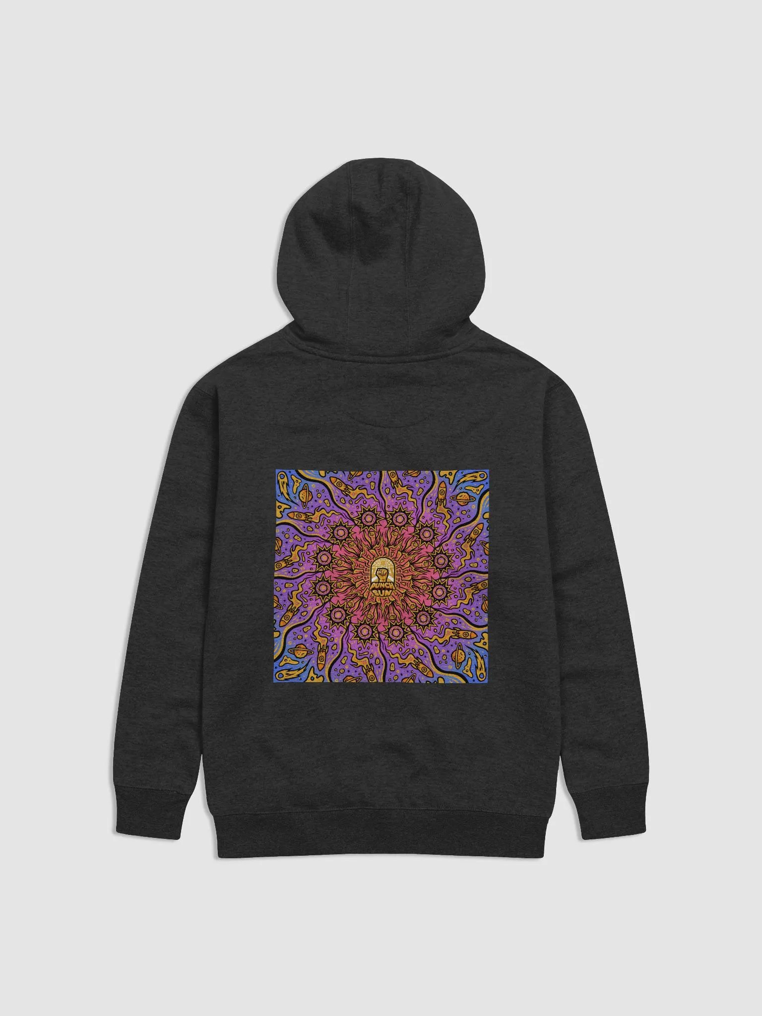 PTS Hoodie product image (2)