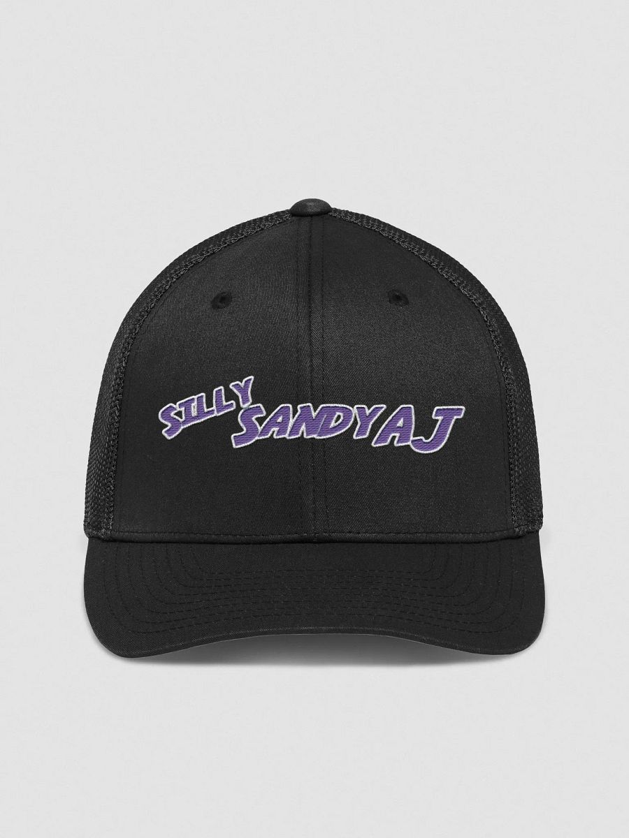 Silly SandyAJ Flexfit Mesh Back Trucker Hat product image (1)