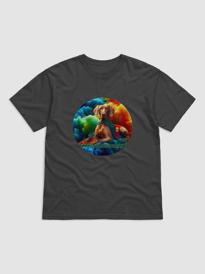 Robin T-Shirt Adult product image (1)