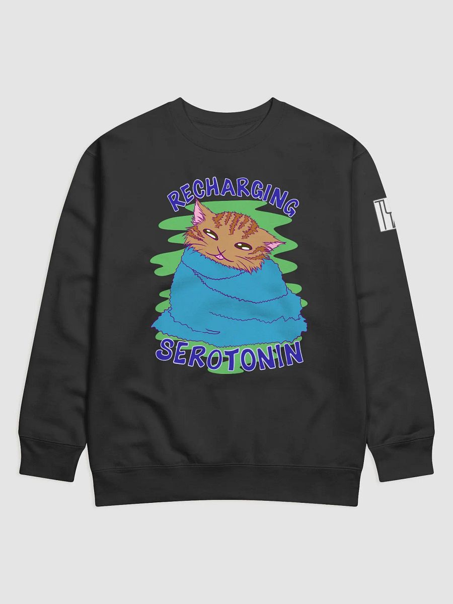 Recharging Serotonin Sweater product image (1)