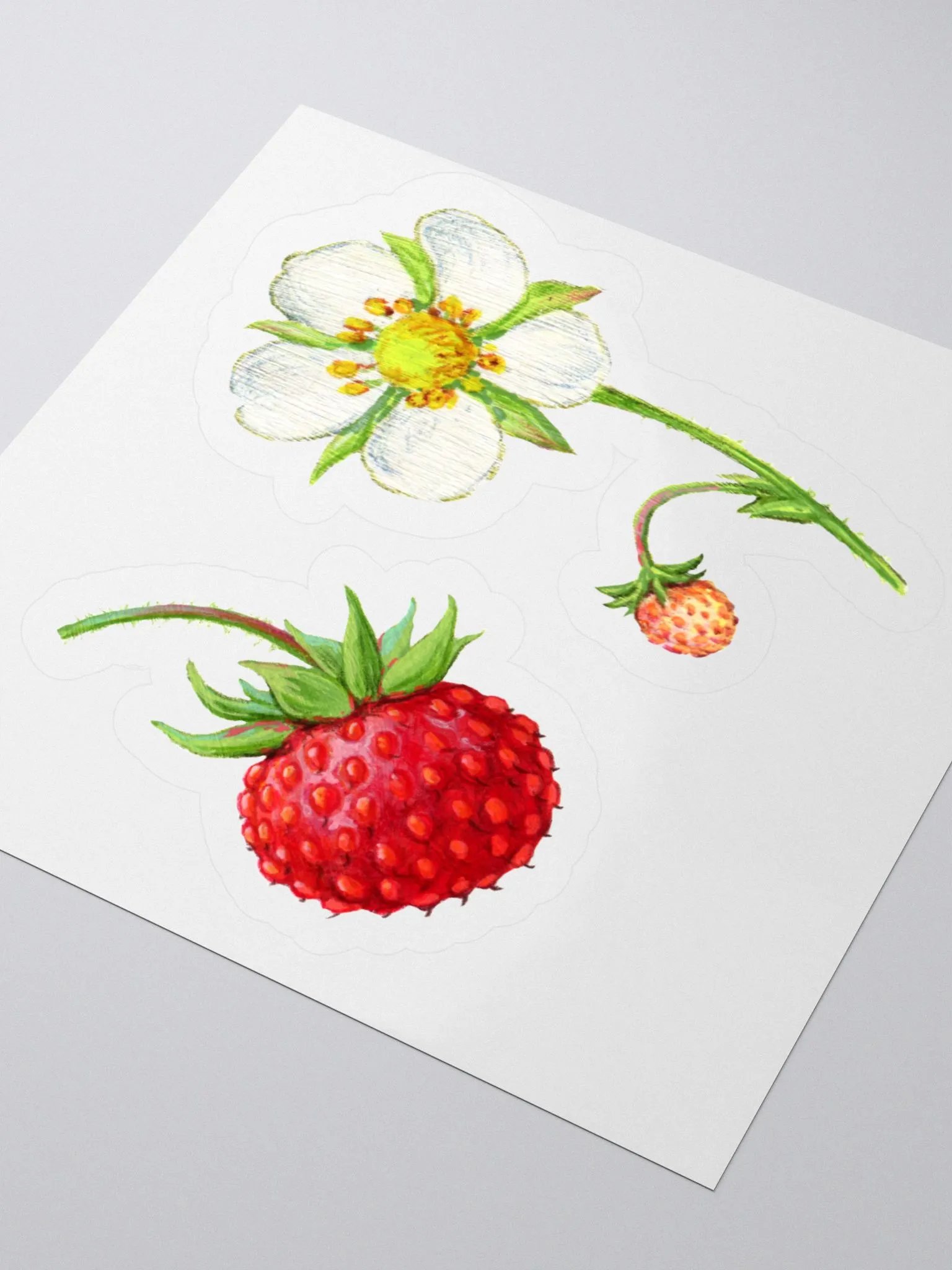 Wild strawberry and flower stickers product image (1)