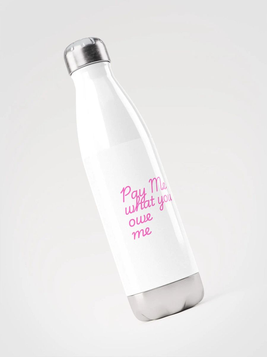 Stainless bottle product image (3)