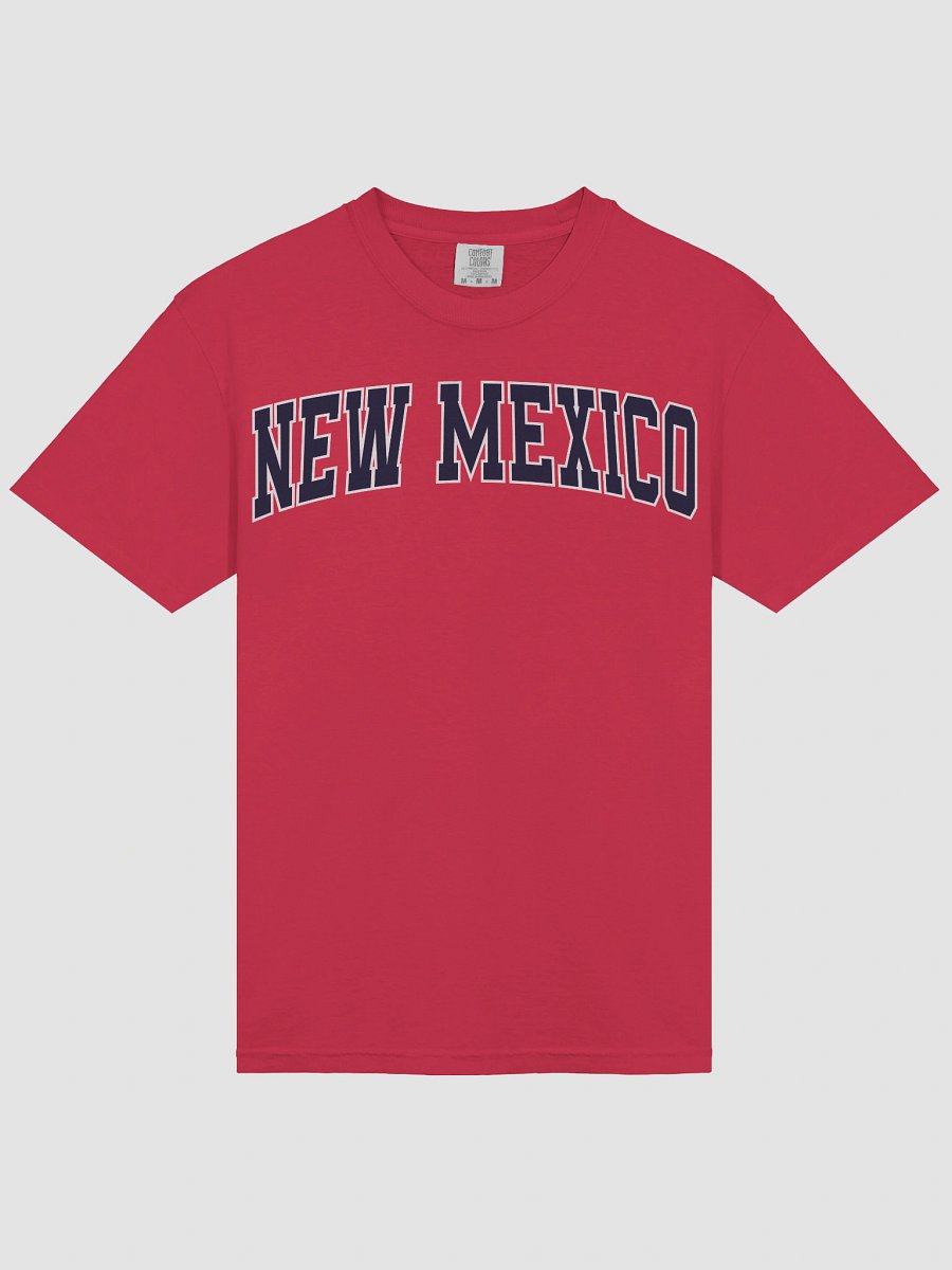 New Mexico Vintage Stylish Unisex Garment-Dyed T-shirt product image (4)