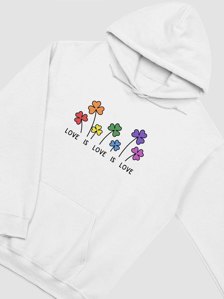 Pride Hoodie (Up to 5XL) product image (2)