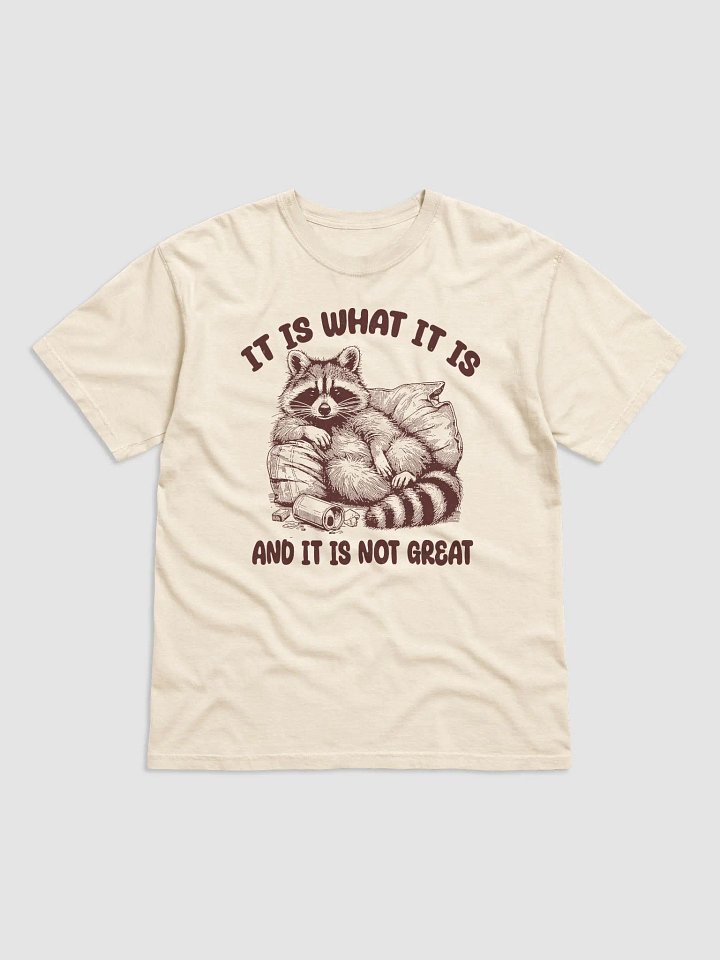 It Is What It Is And It Is Not Great Comfort Colors Tee product image (11)
