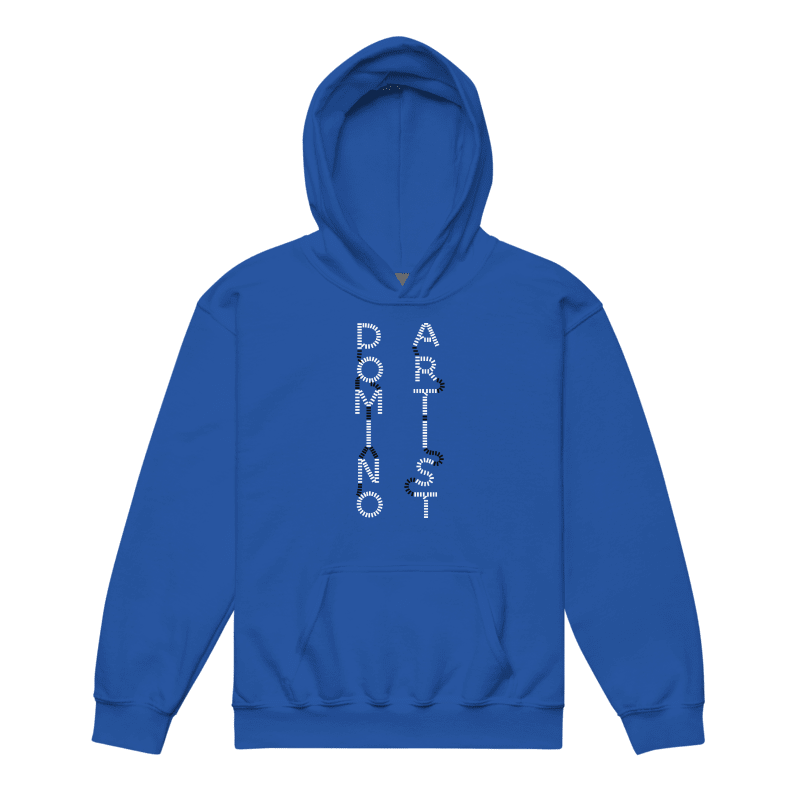 Domino Artist Hoodie (Youth) product image (1)