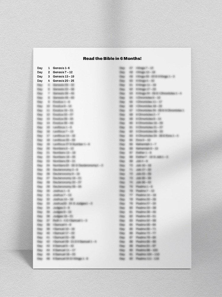 6 Month Bible Reading Plan product image (1)