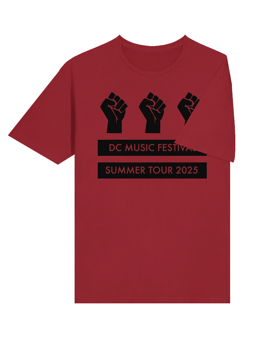 DC Music Fest Summer Tour Fist Flag product image (6)
