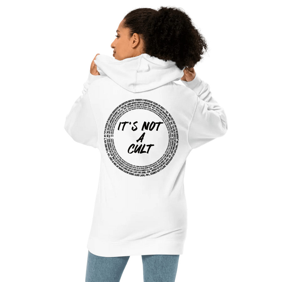 Not-Cult Embroidered Hoodie (LIGHT) product image (9)