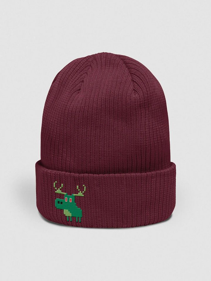 Iconic Green | Embroidered Beanie product image (38)