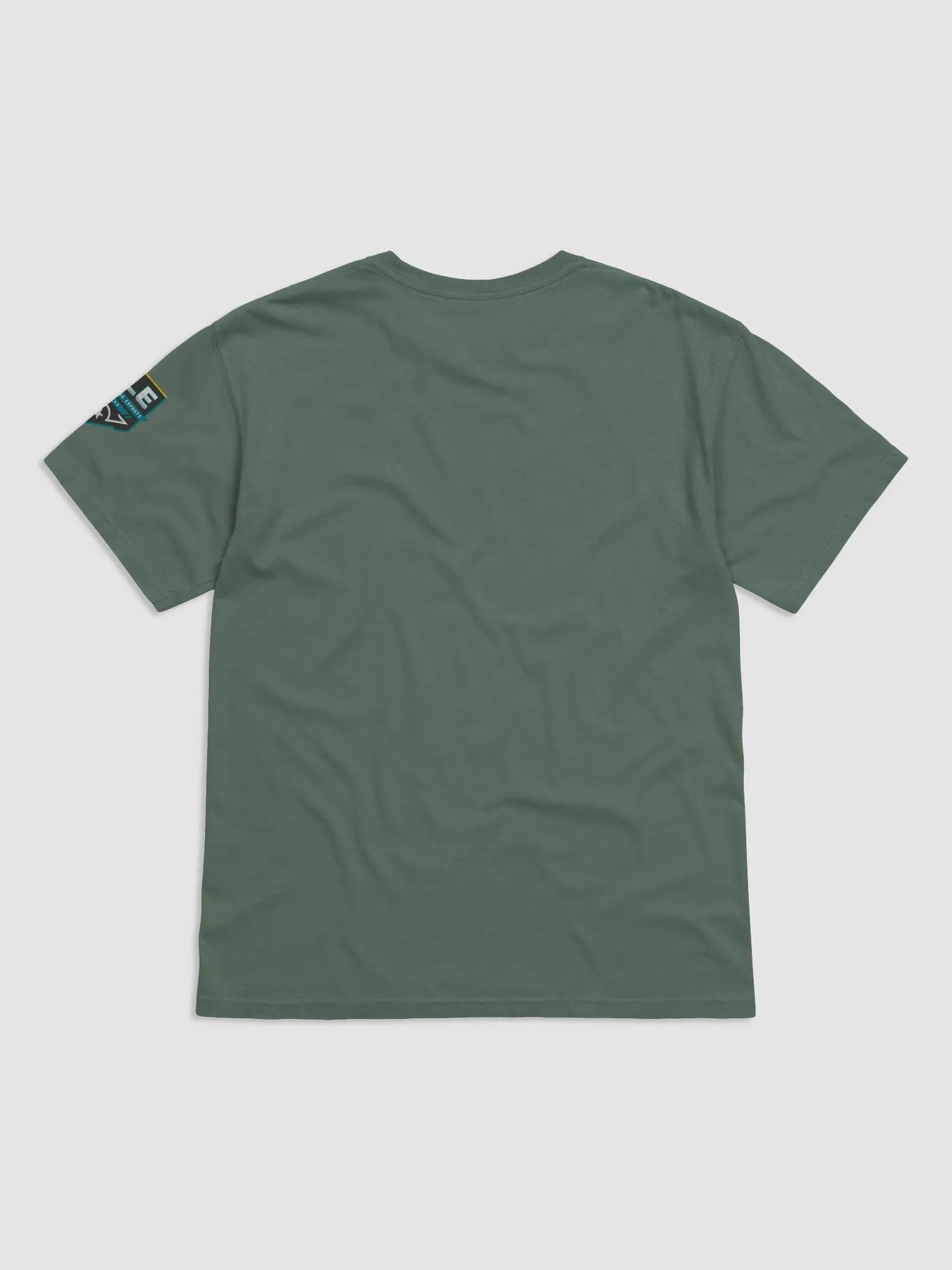 Ducks Team Badge T-Shirt product image (17)