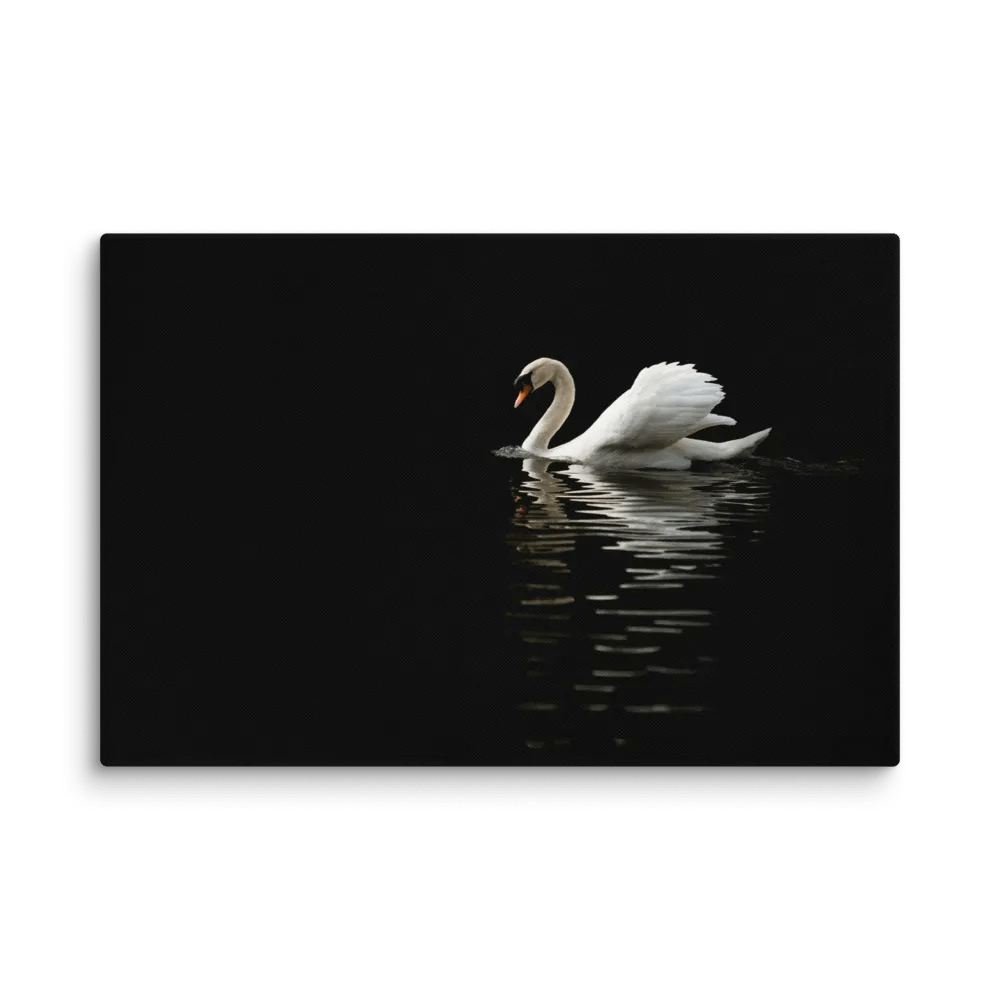 The Swans of St James product image (1)