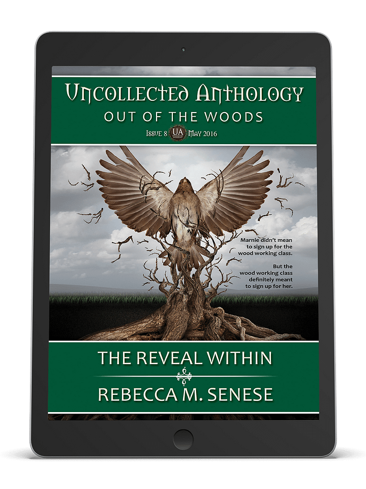 The Reveal Within product image (1)