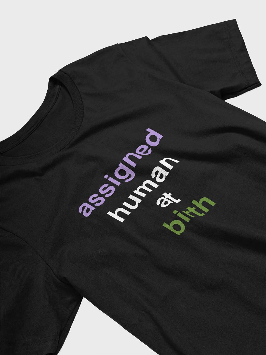 assigned human at birth genderqueer t-shirt product image (3)