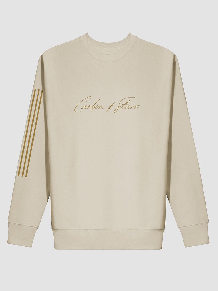 Black Madonna Sweatshirt _ Holy Smoke Collection product image (1)