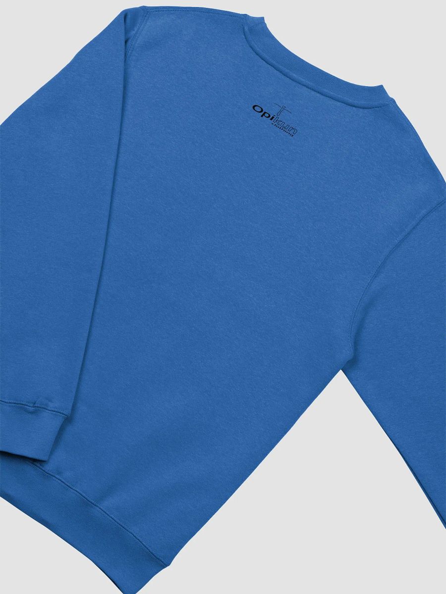 Conspiracies Are Real - Santa Claus - Lane Seven Premium Crewneck Sweatshirt product image (12)