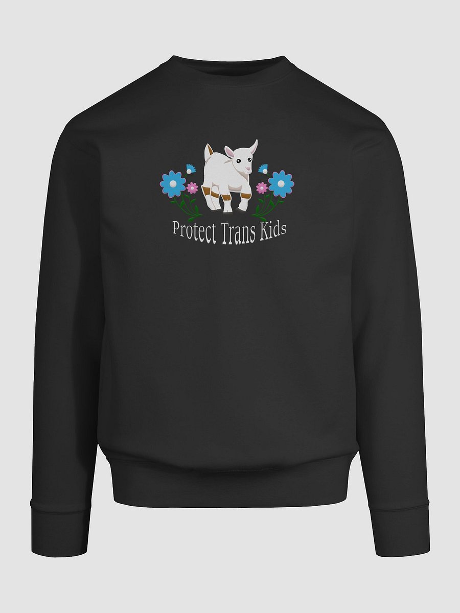 The GOAT product image (9)