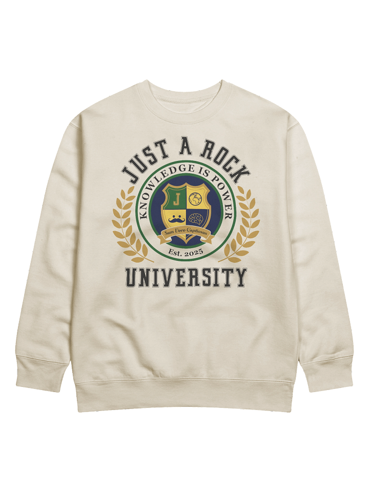 University Sweatshirt product image (1)