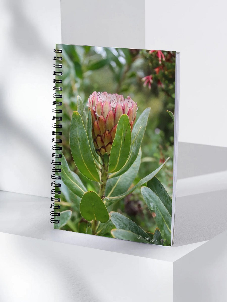 📓 Notebook Collection PURE – Jardin du Rayol – Protea product image (4)