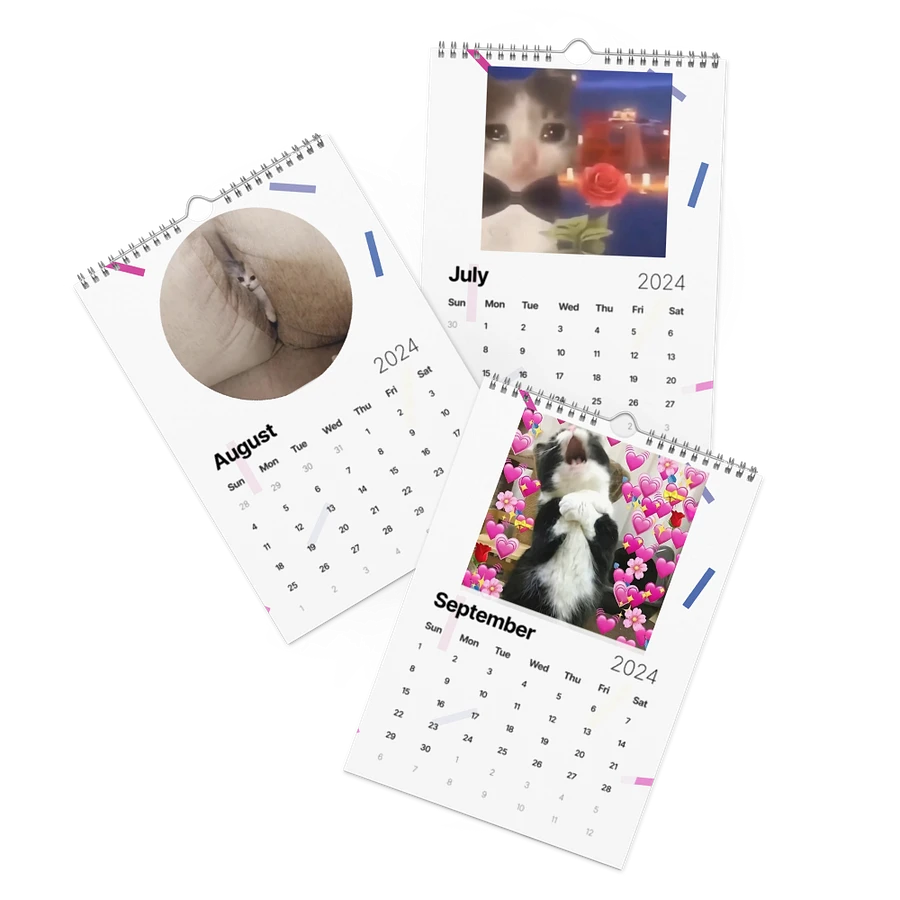 Wall Calendar (2024): Meme Cats product image (11)