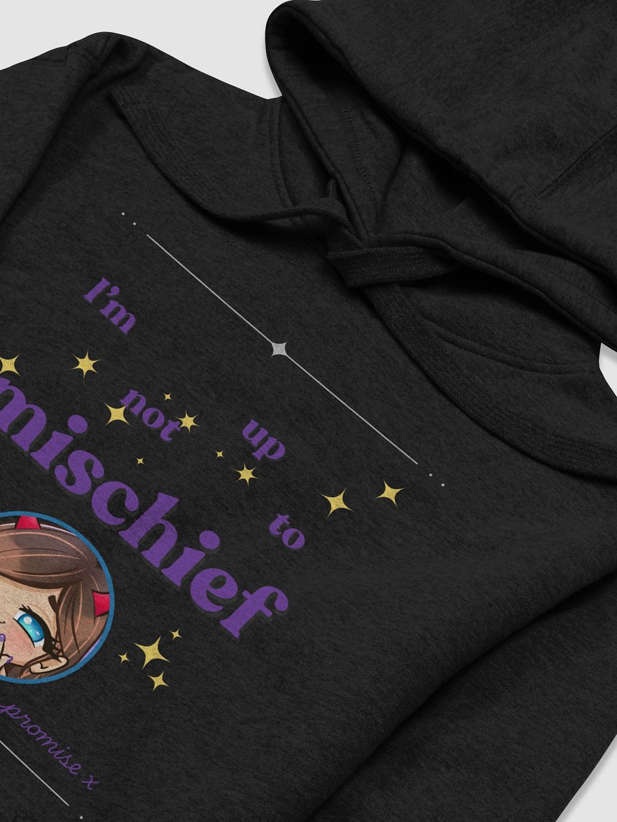 Mischief maker hoodie product image (3)