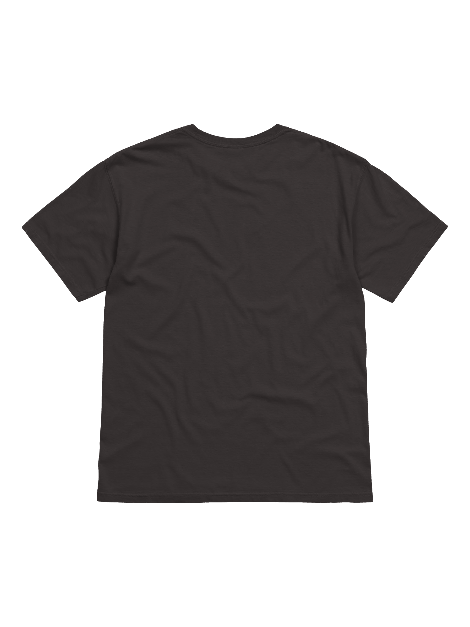 Rockin' Roller Coaster Farewell Tour Tee product image (3)