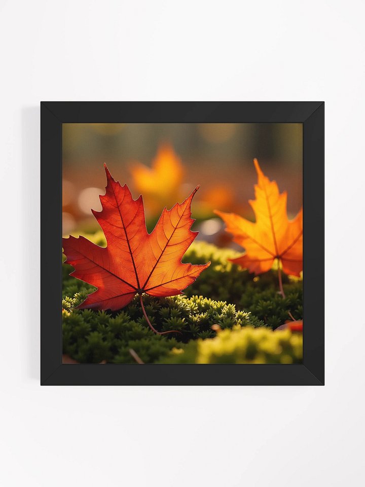 Maple Leaf on Forest Floor product image (2)