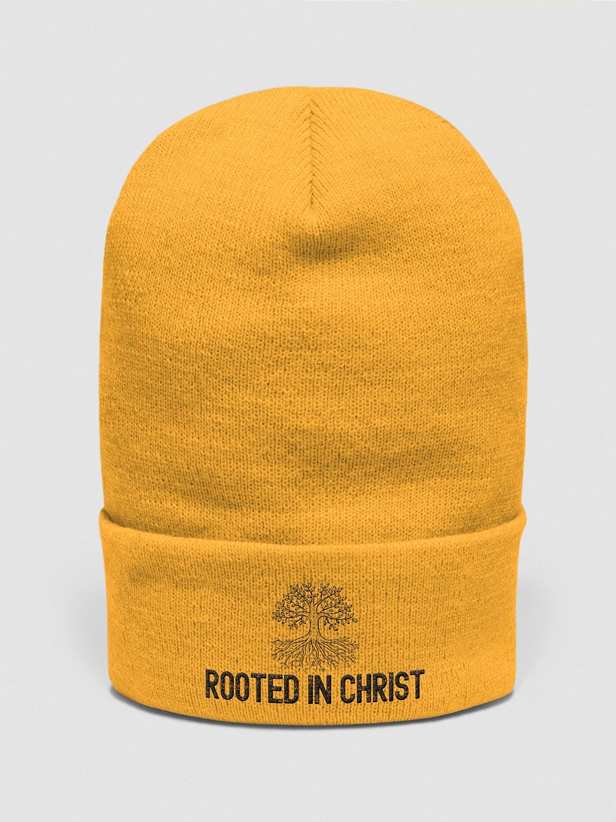 Rooted In Christ Cuffed Beanie product image (1)