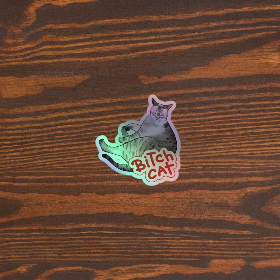 Special Edition Holographic Bitch Cat product image (5)