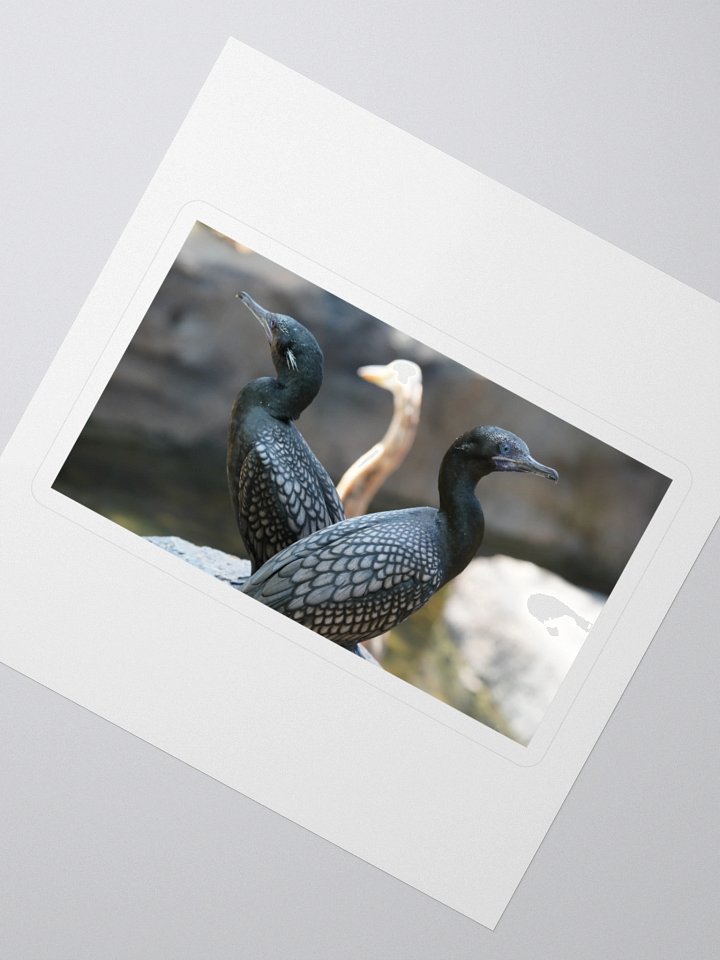Mystic Avian Kiss Cut Stickers product image (2)