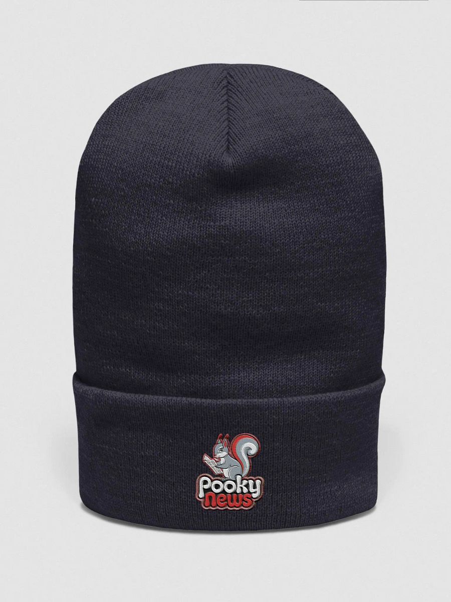 Pooky News Embroidered Beanie product image (1)